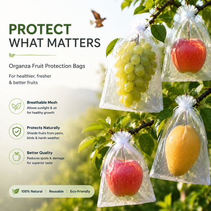 Fruit Protection Bags