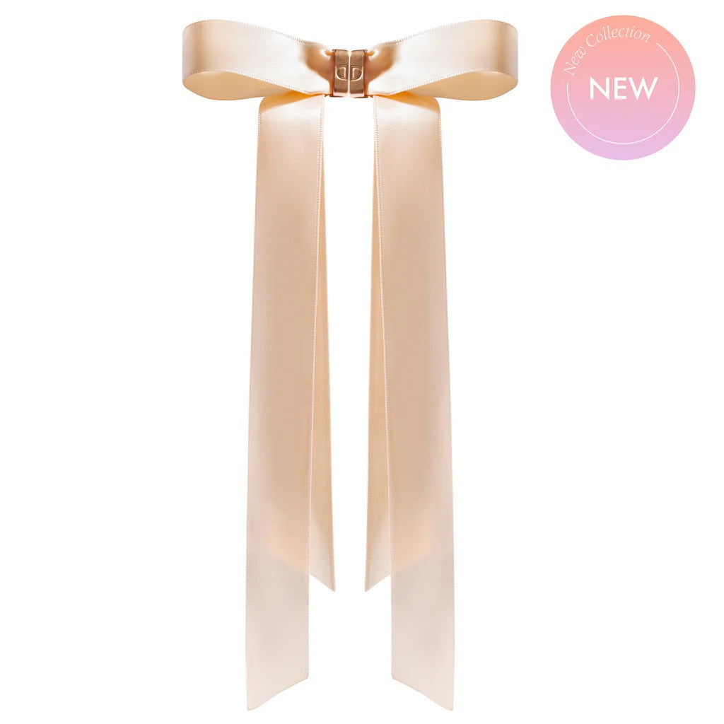 2 in 1 Magnetic Hair Bow Clip