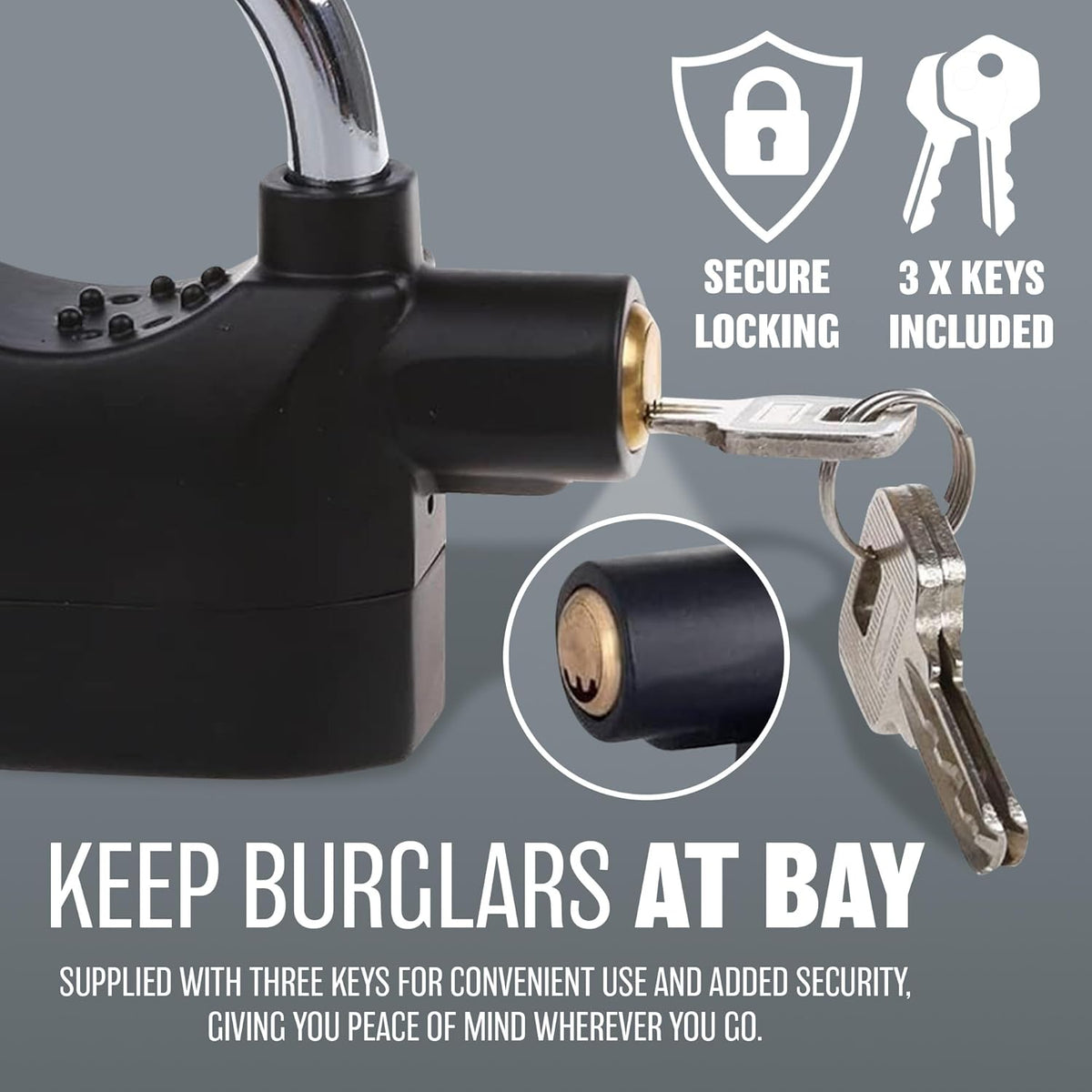 Anti-Theft Alarm Lock